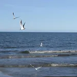 Wunderschoenes In By Interhome *